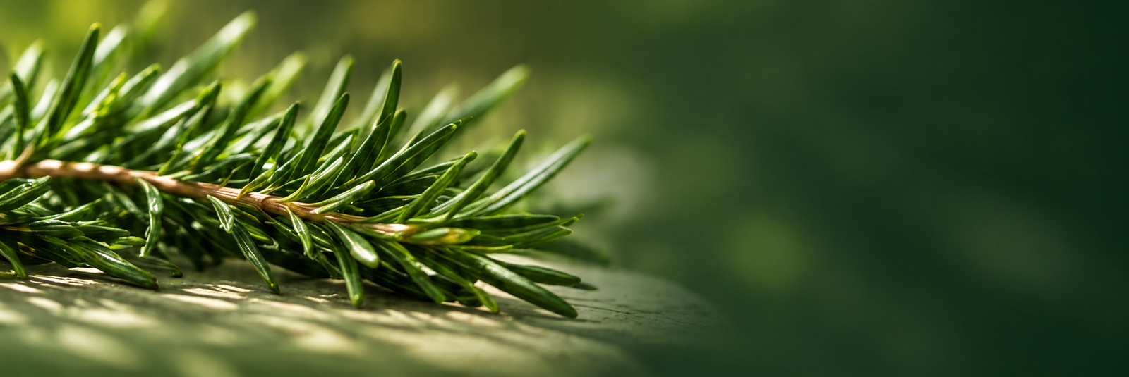 Biotin Deep Nourish Hair Oil